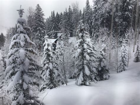 Fresh snow in the Colorado mountains. Good morning! | Chris Hadfield ...