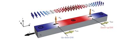 Domain Wall Dynamics – Beach Group