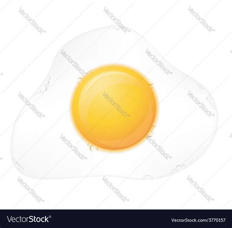 Fried egg Royalty Free Vector Image - VectorStock