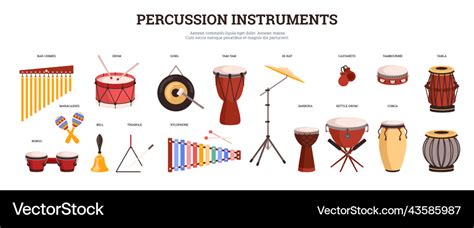 Big set of percussion instruments with names Vector Image