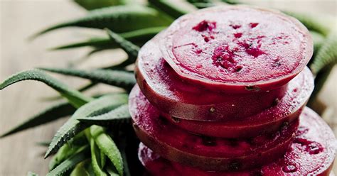 Prickly Pear Recipes to Try