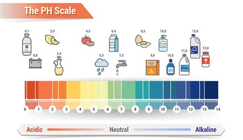 Explaining The Ph Scale