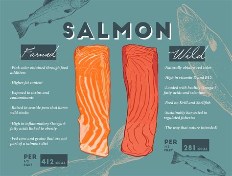 Wild Vs Farmed Salmon — Wild Source Salmon