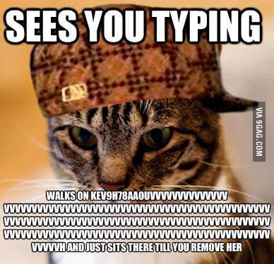 Were you typing? - Funny | Funny memes, New memes, Funny