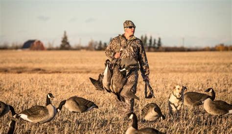 How To Goose Hunt: Tips And Tricks | BestHuntingAdvice