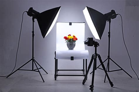 12 Tips for Better Light for Photography