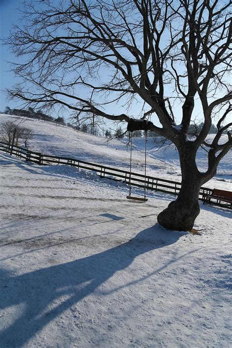 HD wallpaper: wood, snow, winter, scenery, swing, landscape, nature ...