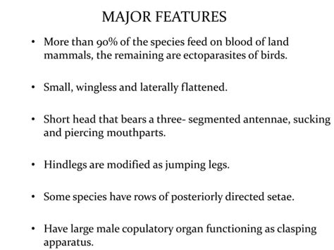 Classification of insects | PPT