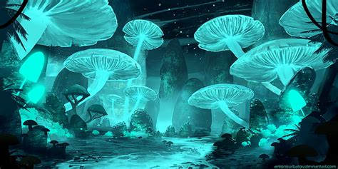 Magical Mushroom Forest Wallpaper - img-oak