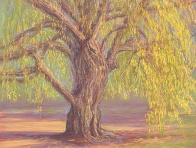 Pastel Painting: Arboretum Weeping Willow Painting by Nancy Poucher