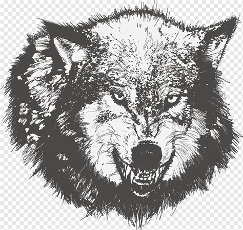 Wolf Art Black And White