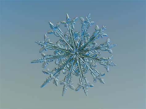 12 stunning snowflake photos you won’t believe were taken by an amateur photographer | PBS NewsHour