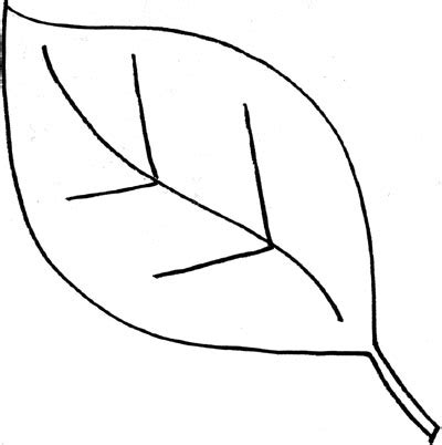 draw a simple leaf - Clip Art Library