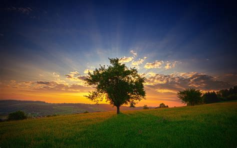 summer, Field, Sunset, Trees, Landscape, Clouds, Grass Wallpapers HD / Desktop and Mobile ...