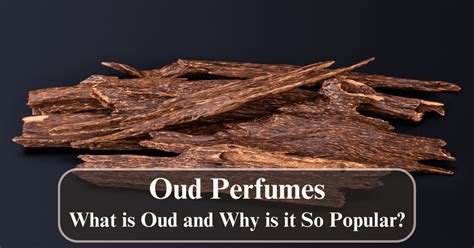 Oud Perfumes: What Is Oud And Why Is It So Popular?