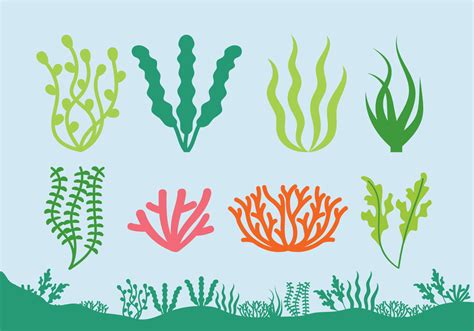 Sea Plants Vector Art, Icons, and Graphics for Free Download