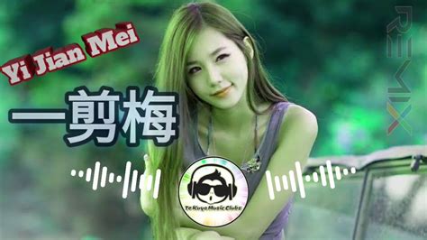 Yi Jian Mei Remix [ 一剪梅 Zi jun ] Asian New Mix 🎶🎶 - YouTube