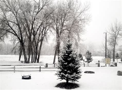 Snow in Billings, Montana – Riveted