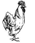 Free Farm Animals - Clip Art Vectors - Graphics - Illustrations