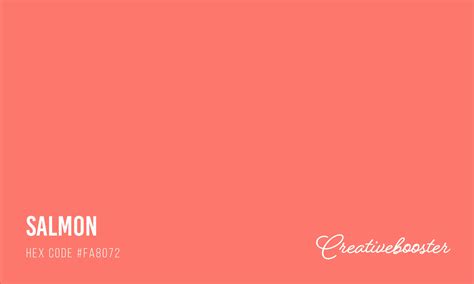 All About Color Salmon (Color Codes, Meaning and Pairings) – CreativeBooster