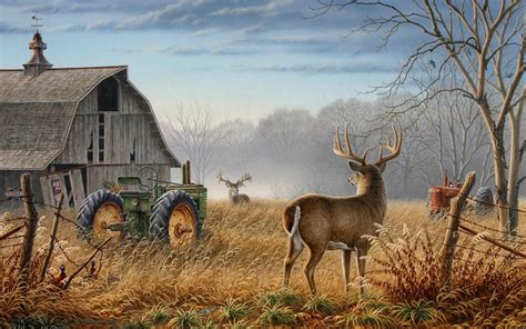 Whitetail Deer Hunting Wallpapers - Top Free Whitetail Deer Hunting ...