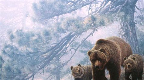 🔥 [67+] Grizzly Bear Wallpapers | WallpaperSafari