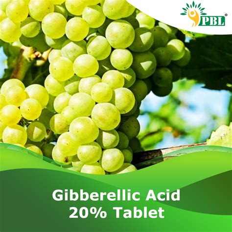 Gibberellic Acid 20% Tablet | B2B PGRs Manufacturer & Exporter- Peptech