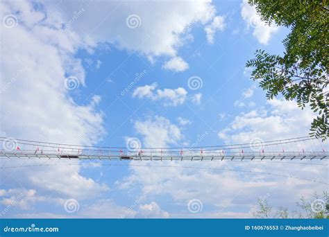 Glass overpass stock image. Image of overline, park - 160676553