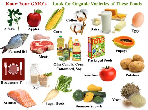 How To Identify Genetically Modified Food In The Shops And Markets