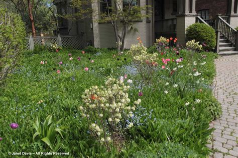 01-My garden1 | Janet Davis Explores Colour