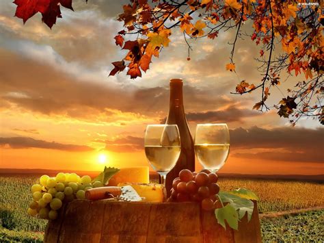 barrel, oak, autumn, field, sun, Wine, Grape, west - For desktop wallpapers: 1920x1440