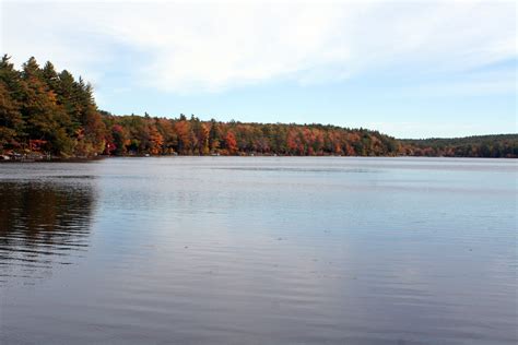 Wilson Lake - Acton Wakefield Watersheds Alliance