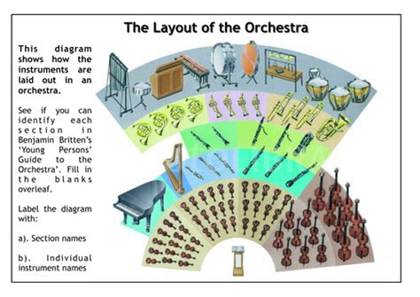 Layout of the Orchestra | Teaching Resources