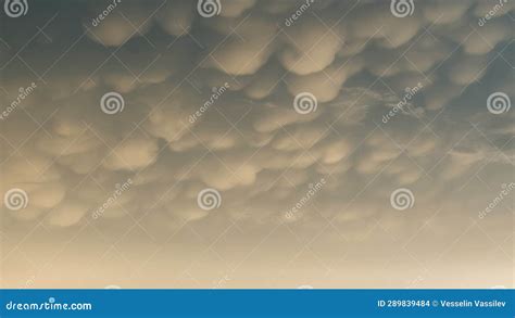 Altocumulus Clouds in Late Summer at Sunset Stock Photo - Image of cumulus, line: 289839484