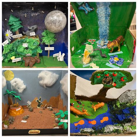 Habitat Dioramas - St. Mary's French Immersion