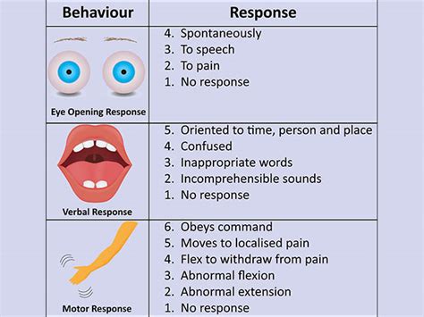 Neurological assessment - ED Areyouprepared?