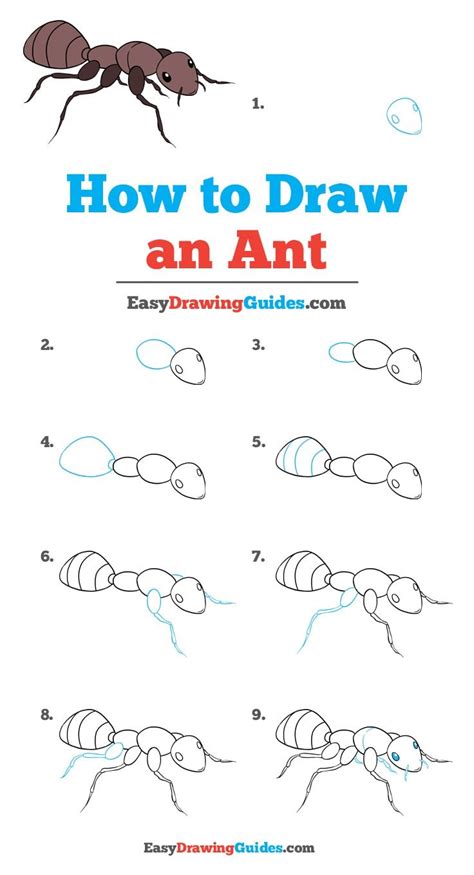 How to Draw an Ant - Really Easy Drawing Tutoria