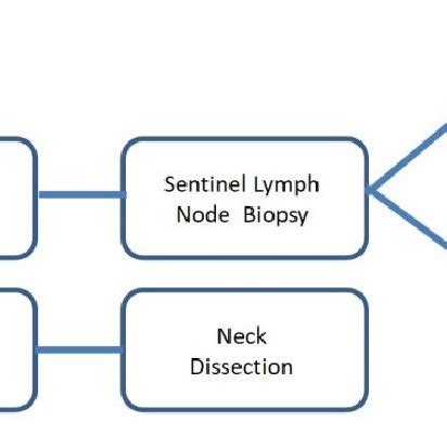 Sentinel lymph node biopsy procedure for melanoma. | Download Scientific Diagram