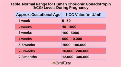 hCG Levels After IVF Embryo Transfer | by Dr Firuza Parikh