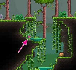 Where to find Mystic Frogs in Terraria - Gamepur