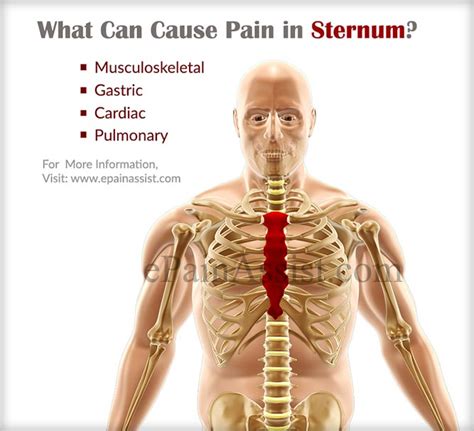 Pain in Sternum|Causes|Symptoms|Treatment