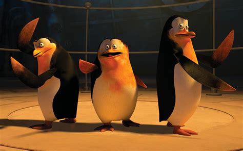 Papel de parede para celular: Filme, Os Pinguins De Madagascar, 739452 baixe o papel de parede ...