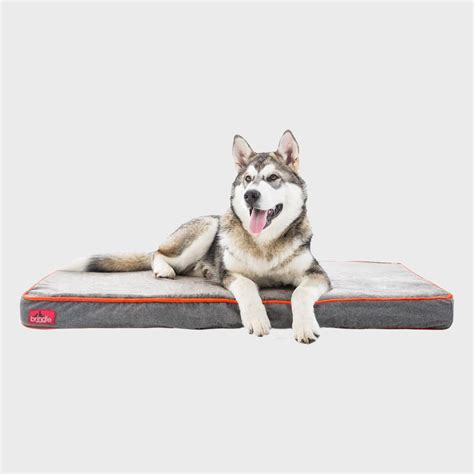 8 Best Waterproof Dog Beds | The Family Handyman