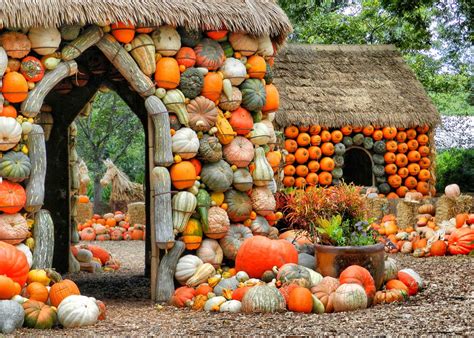 Dallas Arboretum puts on a show of fall colors