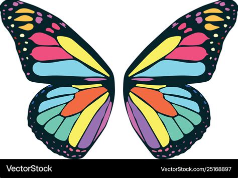 Butterfly wing Royalty Free Vector Image - VectorStock