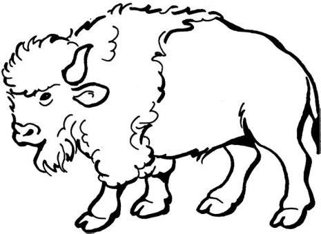 Buffalo clip art free clipart images 2 – Clipartix