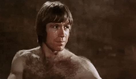 segura esse ataque de fofura homano... #chucknorris #gatos #gifs