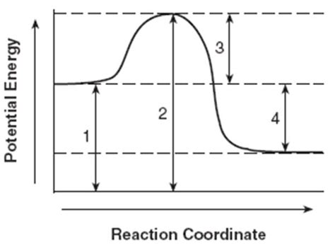 Potential Energy Diagram Explained