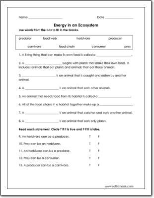 Ecosystem Worksheet 2nd Grade – Thekidsworksheet