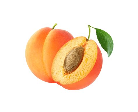 Apricot png transparent background 29228372 PNG